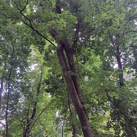 Сasa de vacaciones Exclusives Am Kulkwitzer Markranstädt