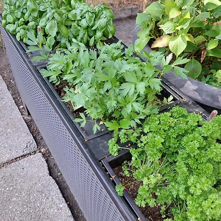 Exclusives Am Kulkwitzer * Markranstädt