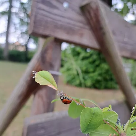 Сasa de vacaciones Exclusives Am Kulkwitzer