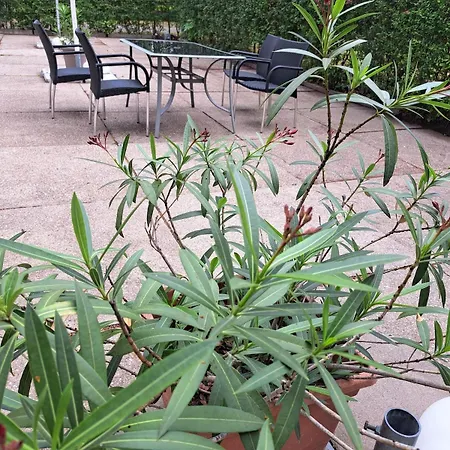 Сasa de vacaciones Exclusives Am Kulkwitzer *