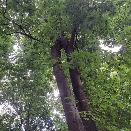 Exclusives Am Kulkwitzer Сasa de vacaciones