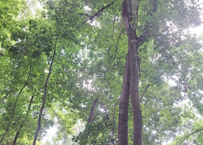 Exclusives Am Kulkwitzer Маркранштедт