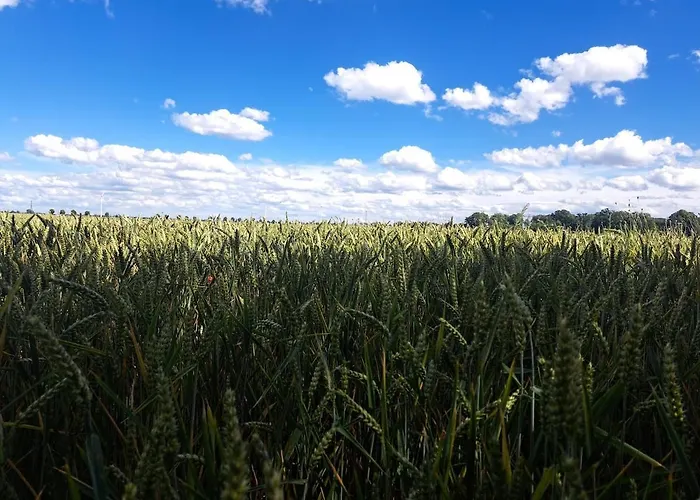 Дом отдыха Exclusives Am Kulkwitzer *