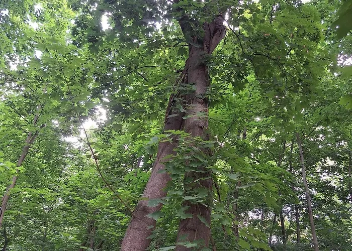 Дом отдыха Exclusives Am Kulkwitzer Маркранштедт