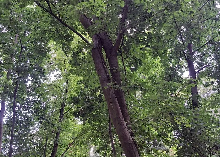 Дом отдыха Exclusives Am Kulkwitzer Маркранштедт