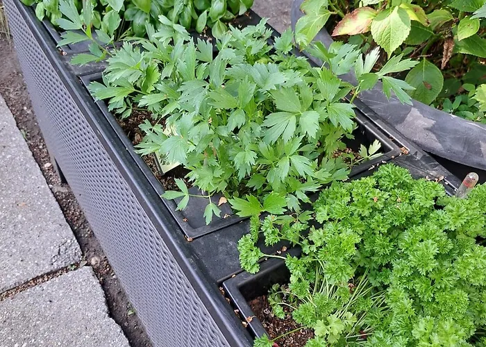 Exclusives Am Kulkwitzer * Маркранштедт