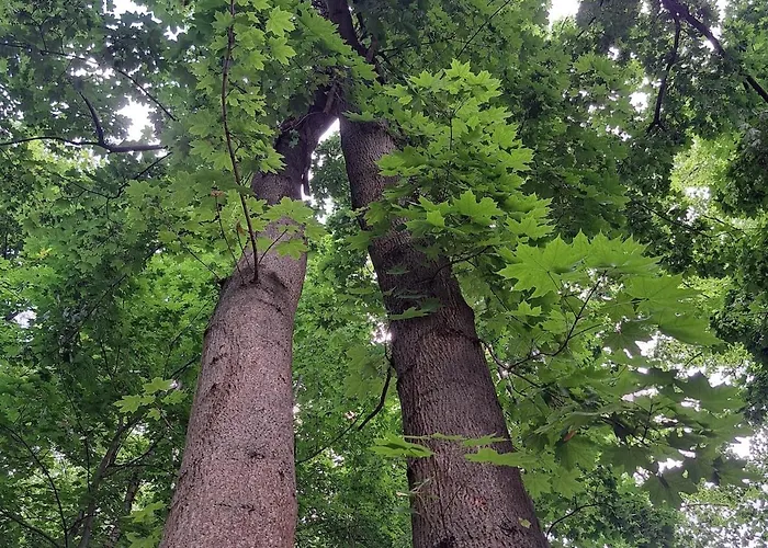 Exclusives Am Kulkwitzer Дом отдыха *