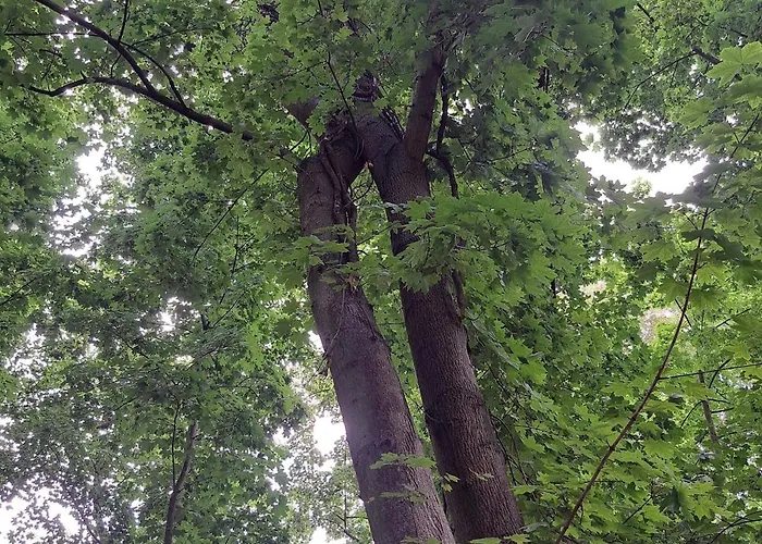 Exclusives Am Kulkwitzer Дом отдыха